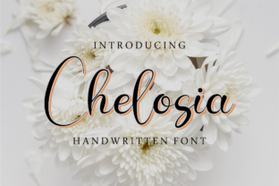 Chelosia: A Beautiful Script Font