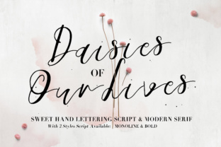 Daisies of Our Lives Font Review