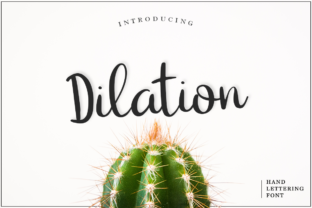 Dilation: A Fresh Script Typeface