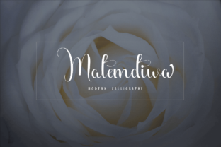 Malemdiwa: A Beautiful Font for Your Business