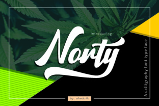 Norty: A Fresh Display Font